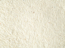 Close up of Topflite Lorikeet Dry