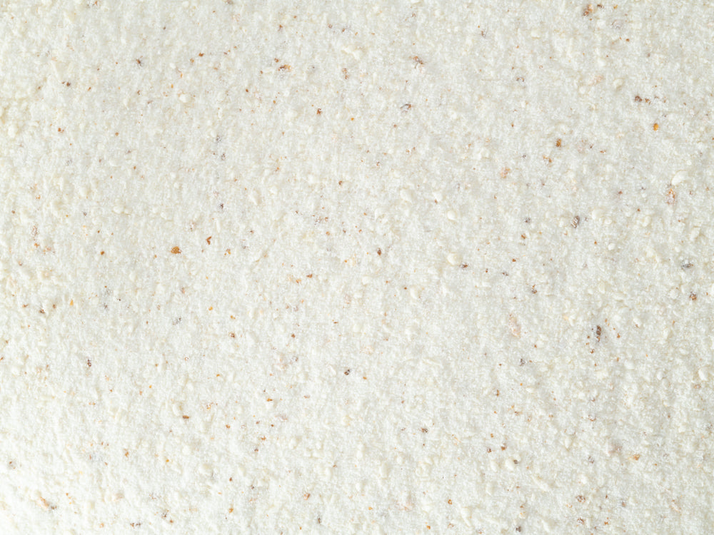 Close up of Topflite Lorikeet Wet 