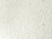 Close up of Topflite Lorikeet Wet 