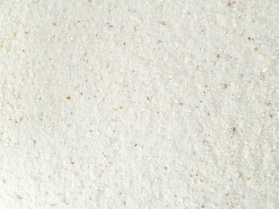 Close up of Topflite Lorikeet Wet 