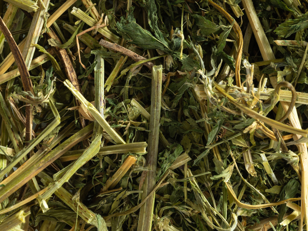Close up of Topflite Lucerne Hay