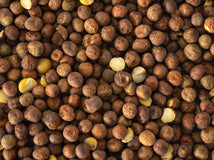 Close up of Topflite Maple Peas