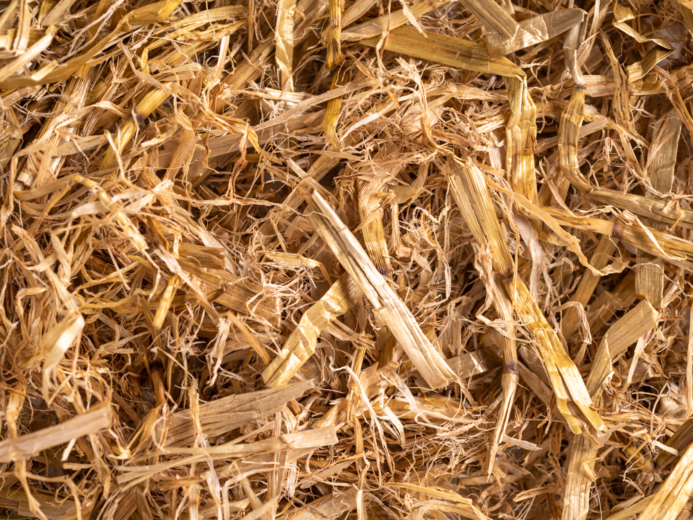 Bedding Straw