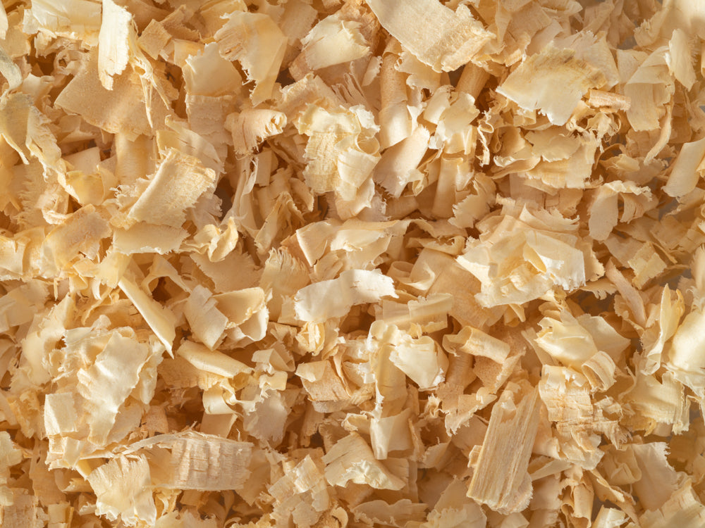 Close up of Topflite Pine Shavings