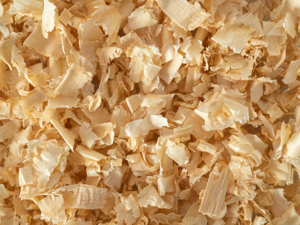 Pine Shavings