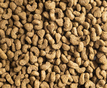 Close up of Topflite Super Premium Nuggets