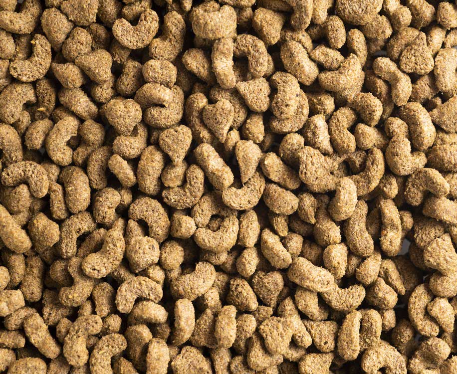 Close up of Topflite Super Premium Nuggets