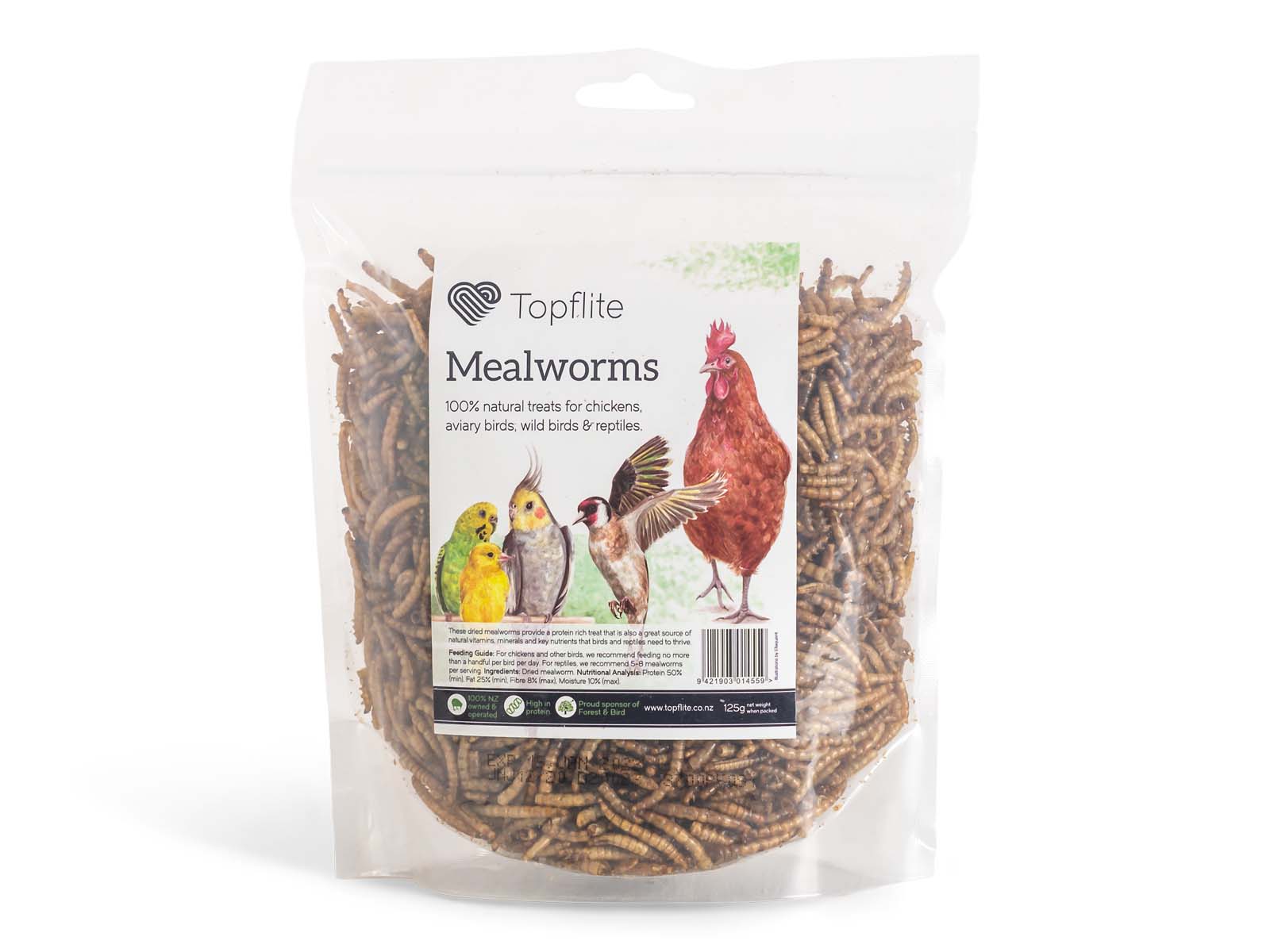 Dried Mealworms
