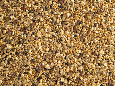Topflite Quail Mix close up