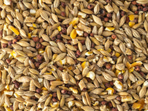 A close-up of Topflite Lucky Duck feed, showcasing a mix of grains