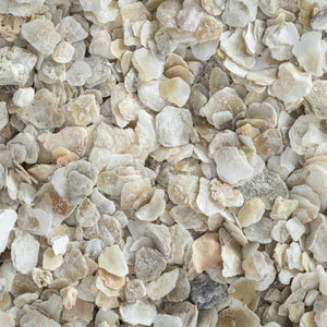 Oyster Shell Coarse Grit