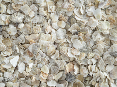 A close-up of crushed oyster shell grit, which is used as a supplement for laying hens to provide calcium.