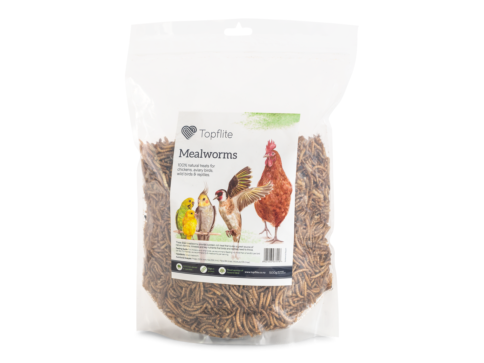 Dried Mealworms
